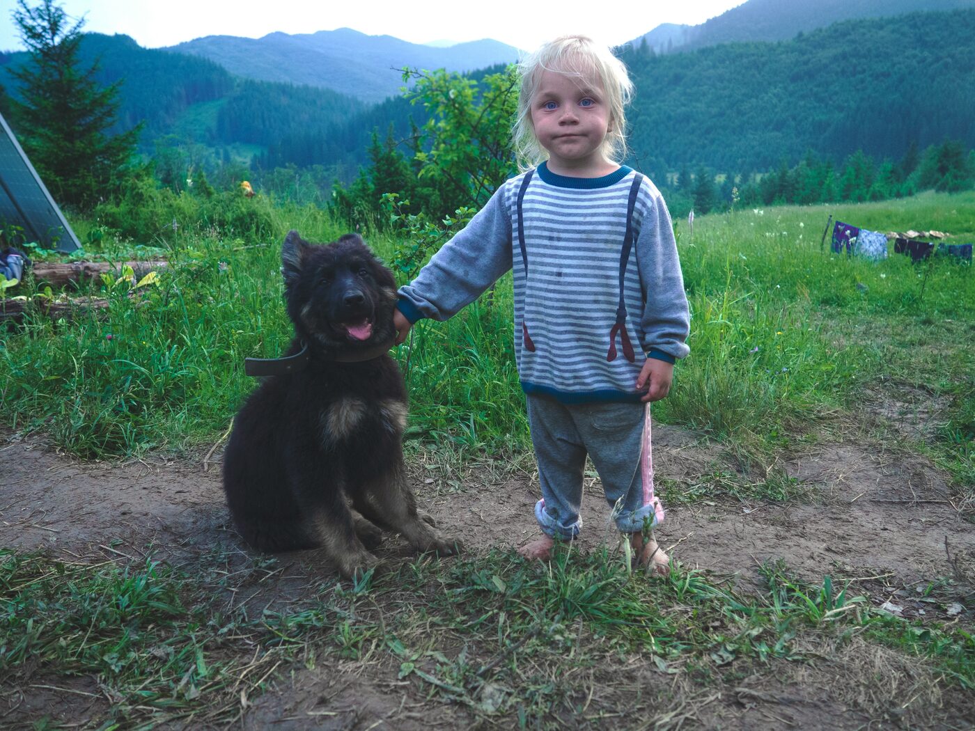 Child with a dog on a motorhome trip