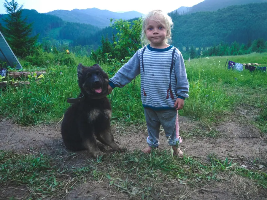 Child with a dog on a motorhome trip