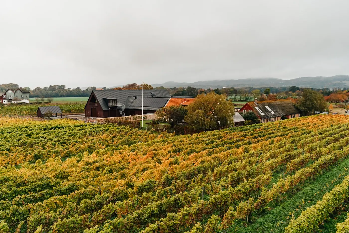 Kullabergs Vingård