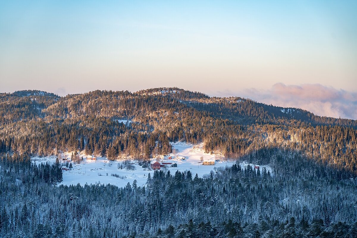 Winter hiking trail in Bymarka, Trondheim