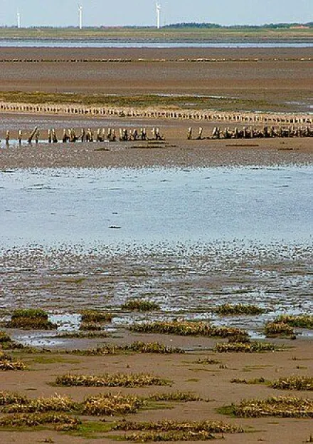 Nationalpark Vadehavet